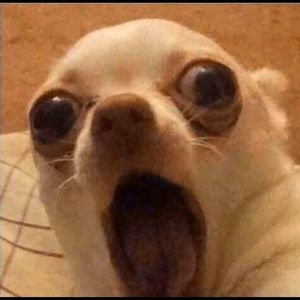 Meet your Posher, Kia